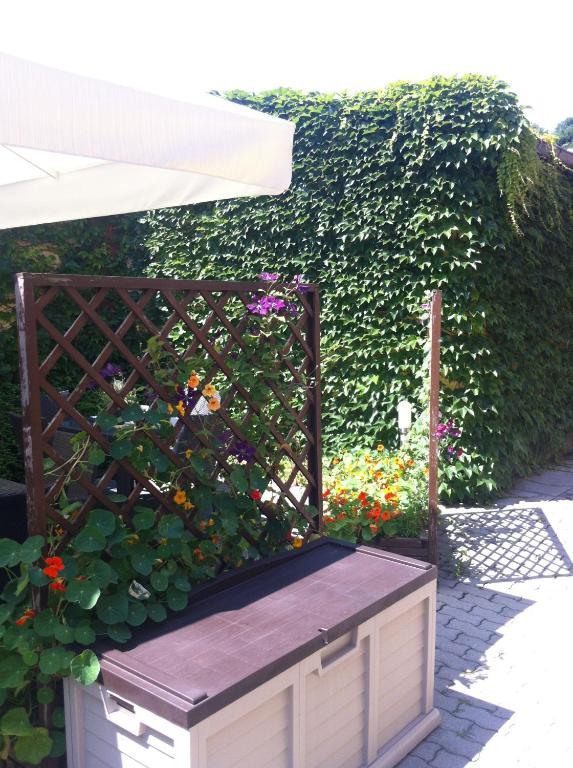 An Der Porzellan-Manufaktur Pension ไมเซน ภายนอก รูปภาพ